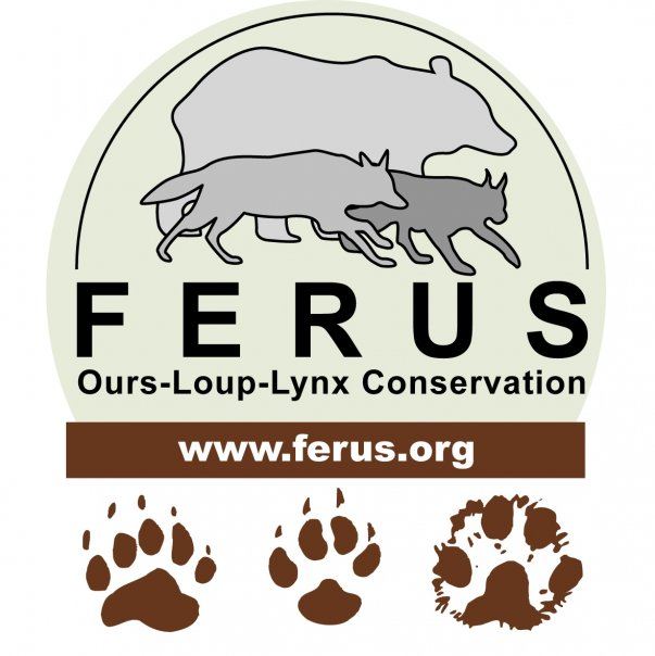 Ferus