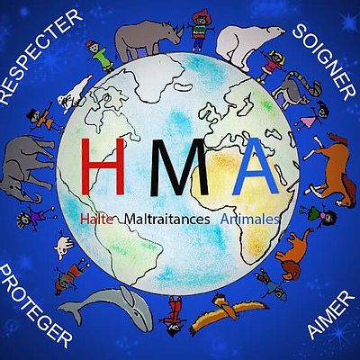 H.M.A