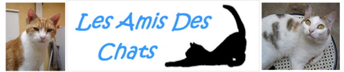 Les Amis des Chats