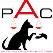 Protection Action Chiens