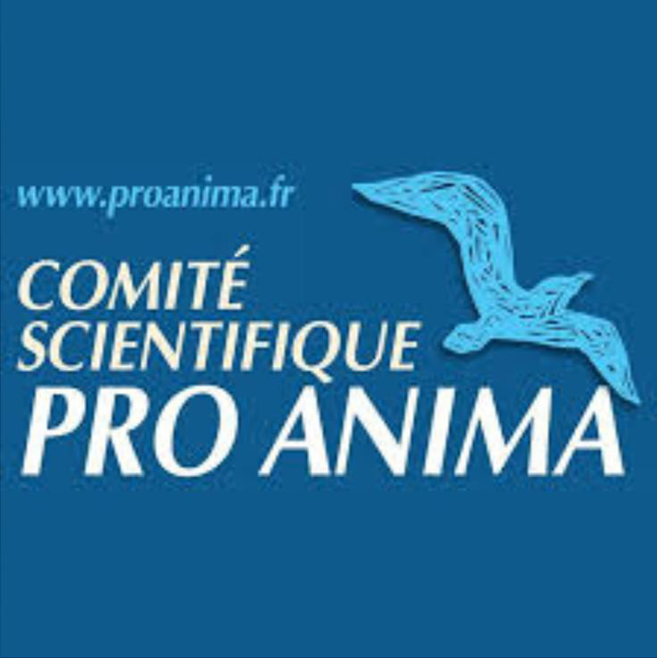 Pro Anima