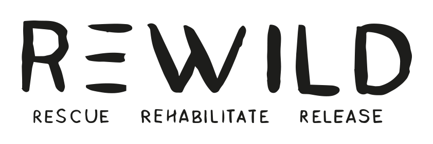 Rewild